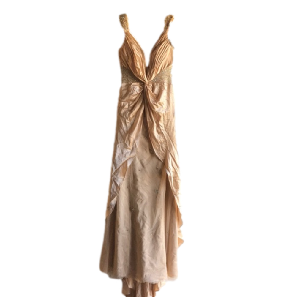 NWT Silk Tony Bowls dress